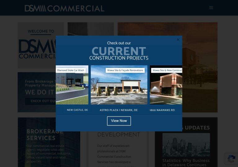 dsm commercial re 1 768x540