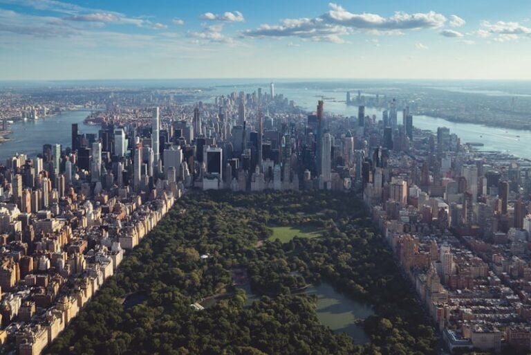dt news park 1 768x513