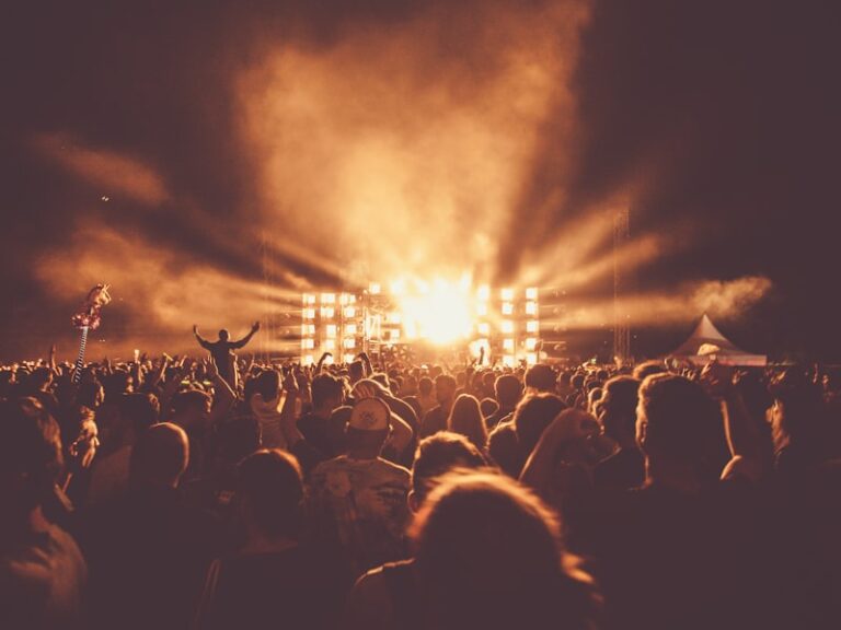 outdoor concert 1 768x576
